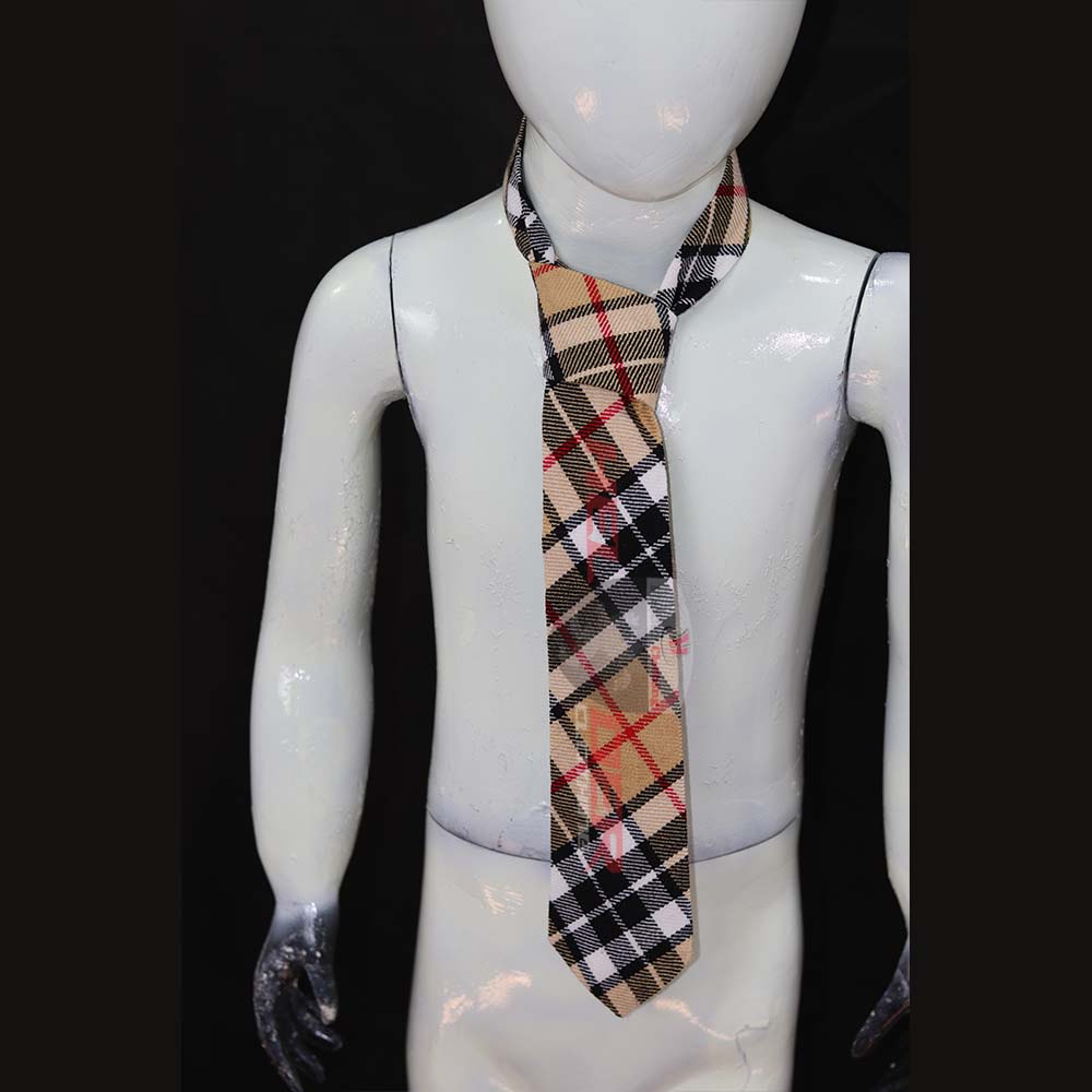Tartan Neck Tie